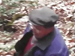 O'rmonda ketma - o'rmon yovvoyi